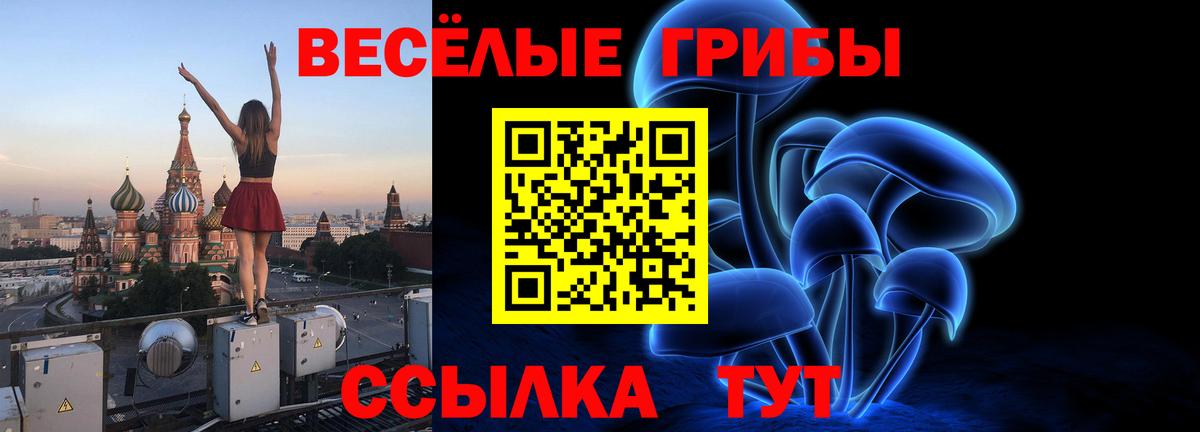 Псилоцибиновые грибы прущие грибы  Вход с VPN  Галлюциногенные грибы Magic Shrooms  Нальчик 